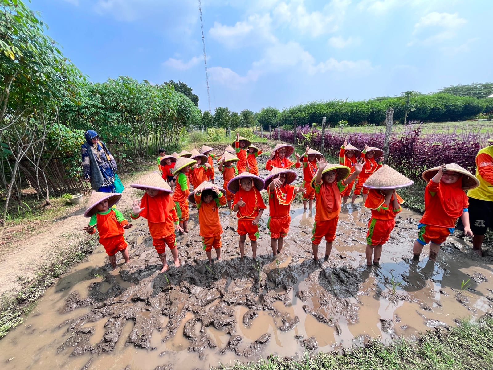 Anak-anak belajar menanam padi bersama di sawah